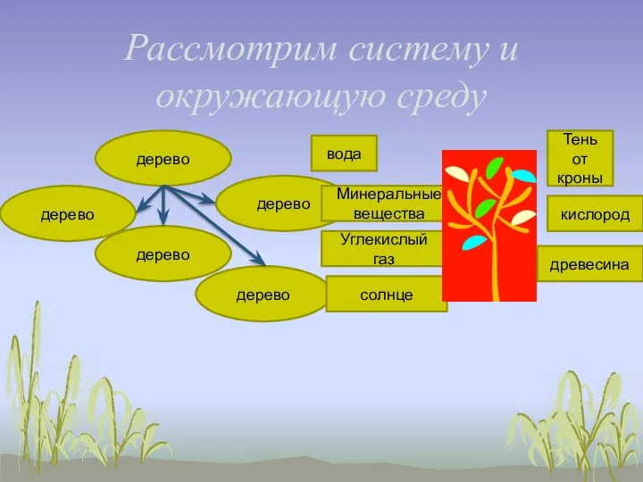 Рассмотрим систему и окружающую среду дерево дерево дерево дерево дерево вода