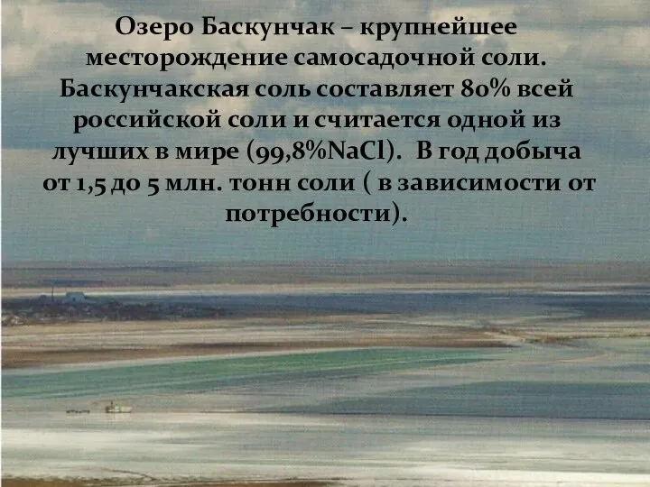 Озеро Баскунчак – крупнейшее месторождение самосадочной соли. Баскунчакская соль составляет 80%