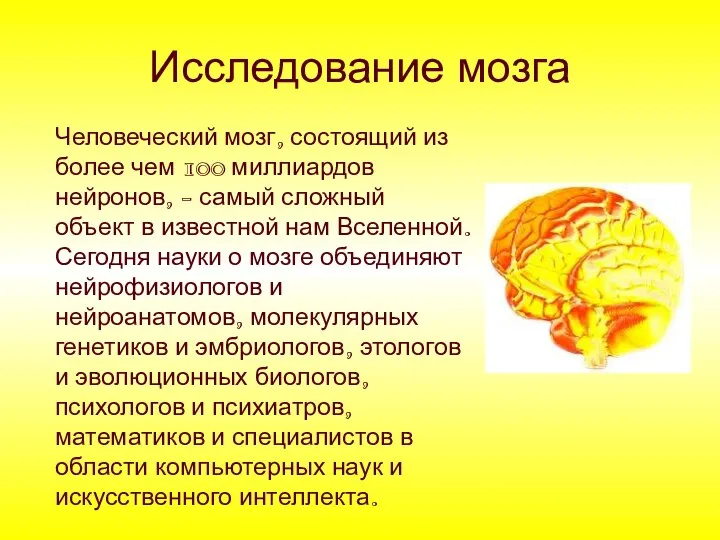 Исследование мозга Человеческий мозг, состоящий из более чем 100 миллиардов нейронов,