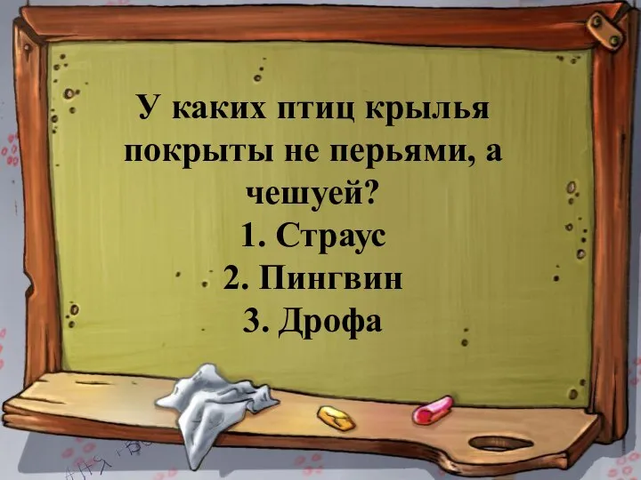 У каких птиц крылья покрыты не перьями, а чешуей? 1. Страус 2. Пингвин 3. Дрофа