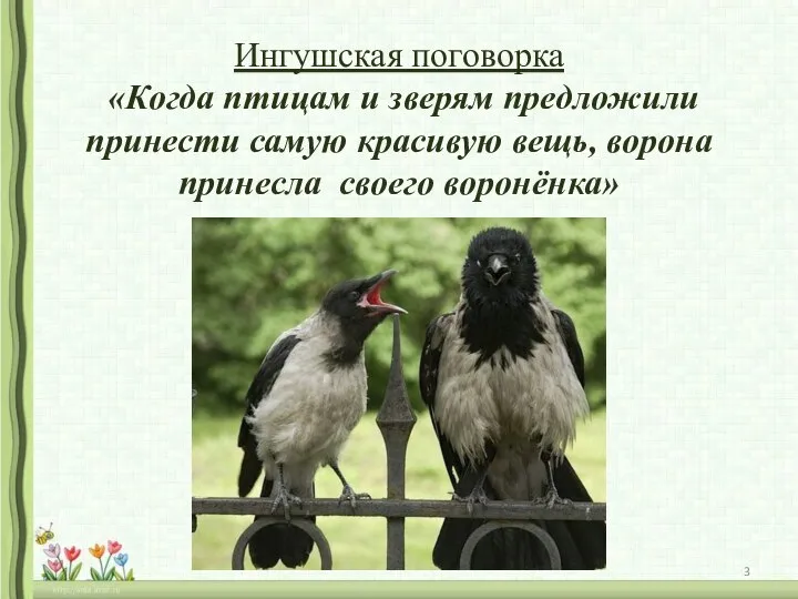 Ингушская поговорка «Когда птицам и зверям предложили принести самую красивую вещь, ворона принесла своего воронёнка»