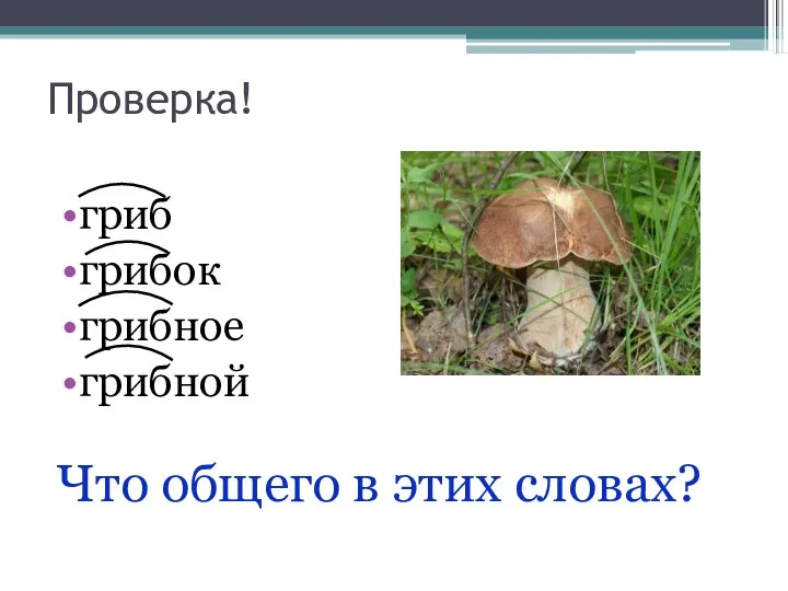 Проверка! гриб грибок грибное грибной Что общего в этих словах?