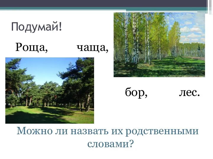 Подумай! Роща, чаща, бор, лес. Можно ли назвать их родственными словами?