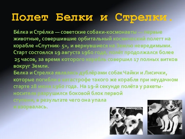 Полет Белки и Стрелки. Бе́лка и Стре́лка — советские собаки-космонавты —