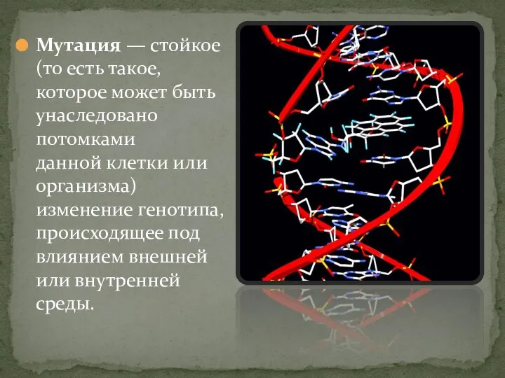 Мутация — стойкое (то есть такое, которое может быть унаследовано потомками