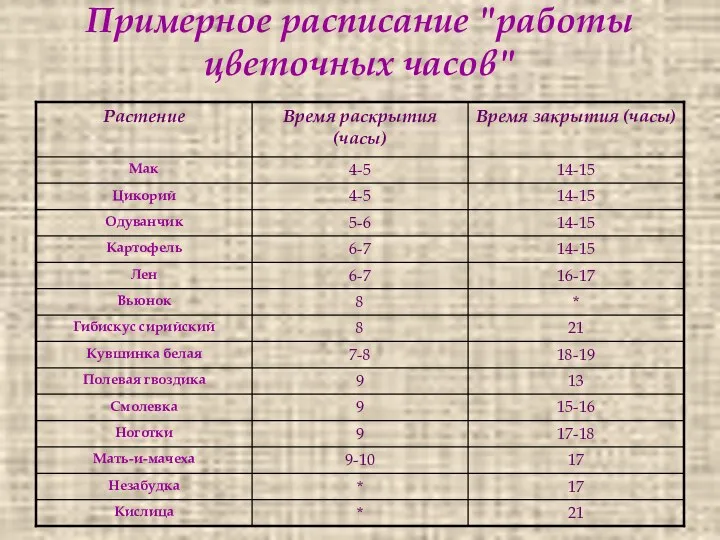 Примерное расписание "работы цветочных часов"