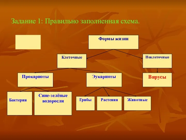 Задание 1: Правильно заполненная схема.