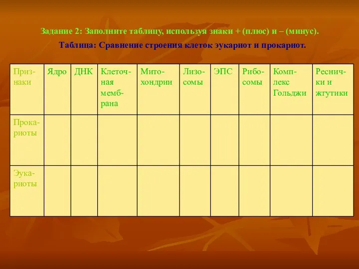 Задание 2: Заполните таблицу, используя знаки + (плюс) и – (минус).