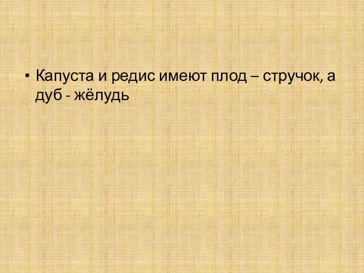 Капуста и редис имеют плод – стручок, а дуб - жёлудь