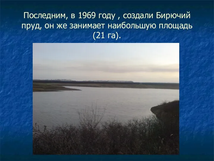 Последним, в 1969 году , создали Бирючий пруд, он же занимает наибольшую площадь (21 га).