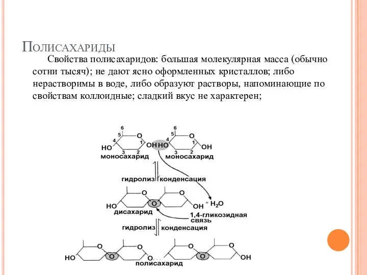 Полисахариды Свойства полисахаридов: большая молекулярная масса (обычно сотни тысяч); не дают