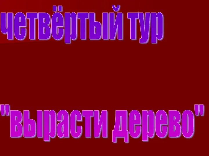 четвёртый тур "вырасти дерево"