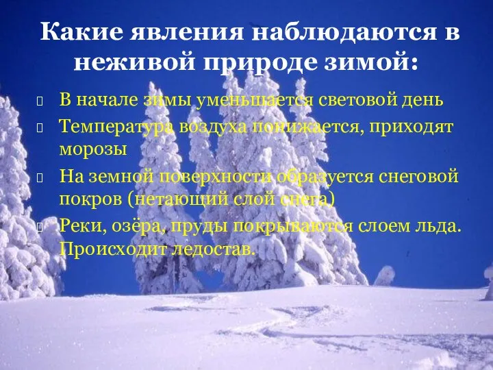 Какие явления наблюдаются в неживой природе зимой: В начале зимы уменьшается