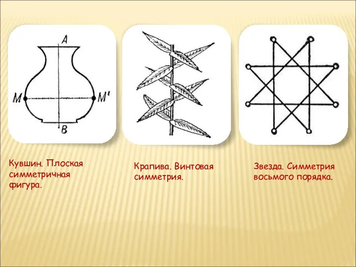 Кувшин. Плоская симметричная фигура. Крапива. Винтовая симметрия. Звезда. Симметрия восьмого порядка.