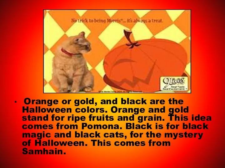 Orange or gold, and black are the Halloween colors. Orange and