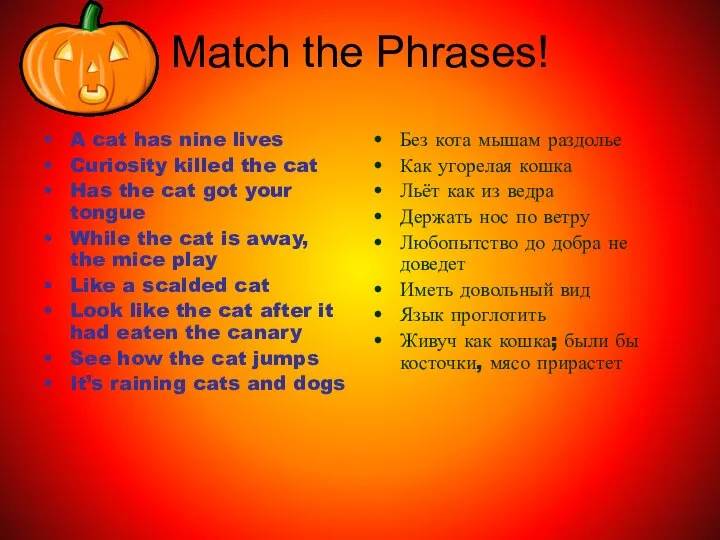 Match the Phrases! A cat has nine lives Curiosity killed the