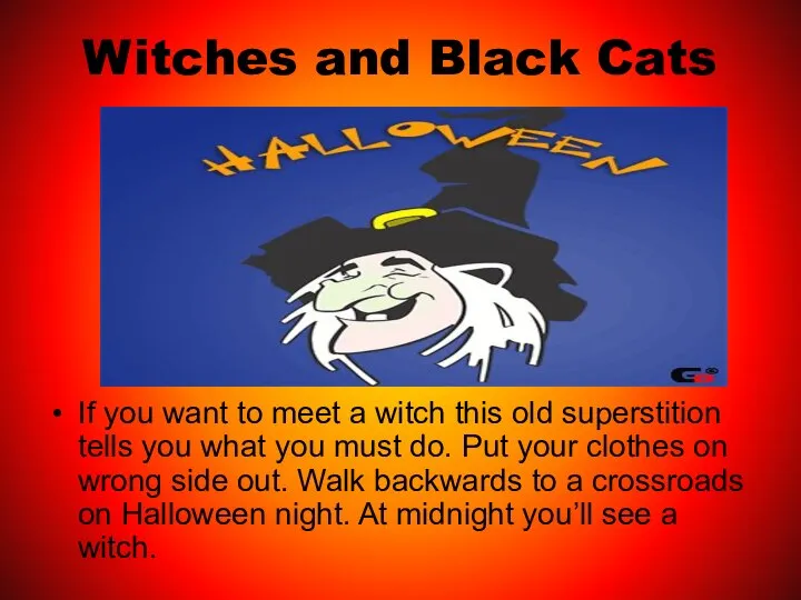 Witches and Black Cats If you want to meet a witch