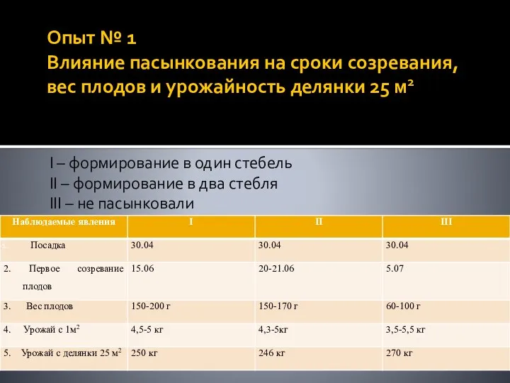 Опыт № 1 Влияние пасынкования на сроки созревания, вес плодов и