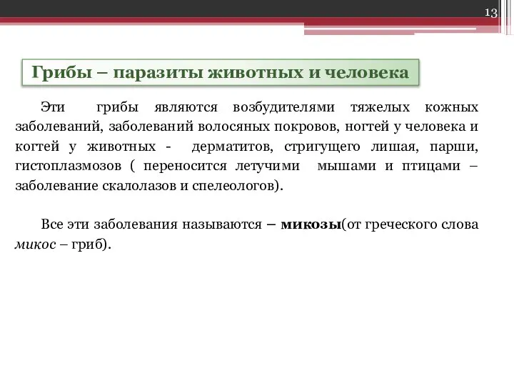 Грибы – паразиты животных и человека Эти грибы являются возбудителями тяжелых