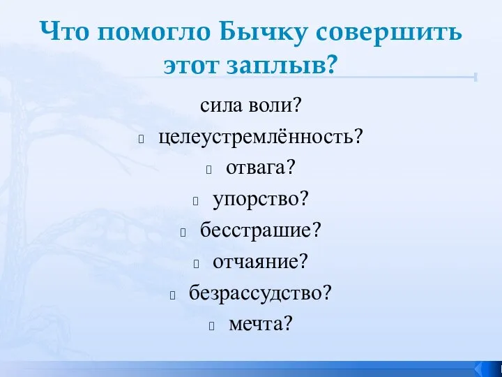 Что помогло Бычку совершить этот заплыв? сила воли? целеустремлённость? отвага? упорство? бесстрашие? отчаяние? безрассудство? мечта?