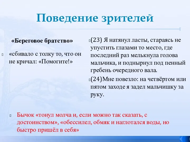 Поведение зрителей «Береговое братство» «сбивало с толку то, что он не