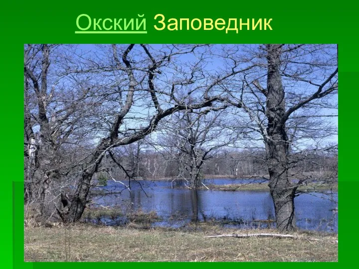 Окский Заповедник