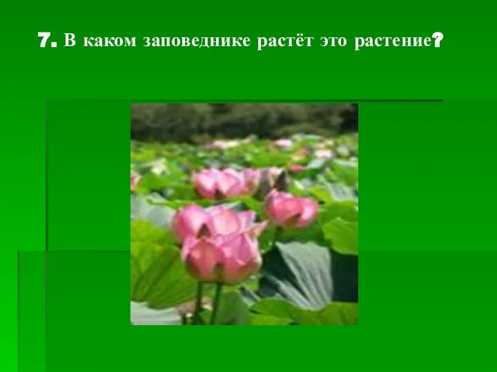 7. В каком заповеднике растёт это растение?