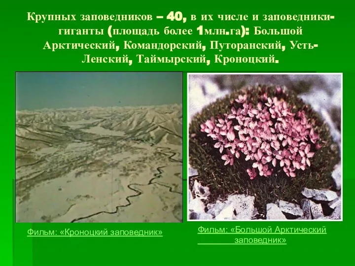 Крупных заповедников – 40, в их числе и заповедники-гиганты (площадь более