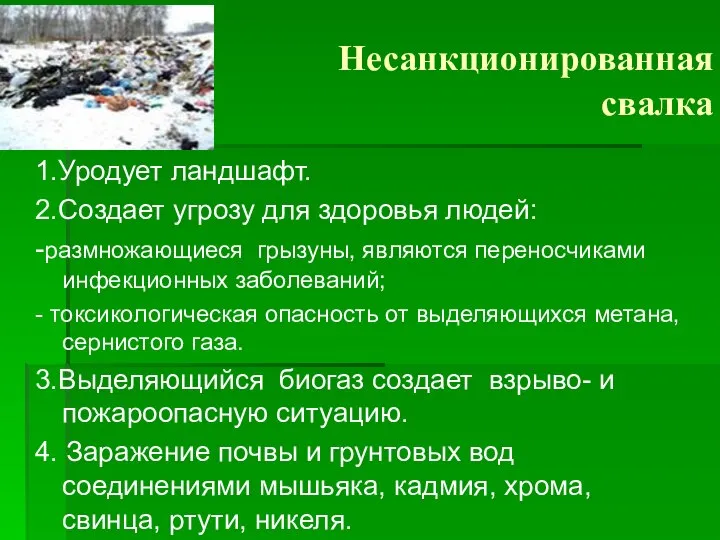 Несанкционированная свалка 1.Уродует ландшафт. 2.Создает угрозу для здоровья людей: -размножающиеся грызуны,