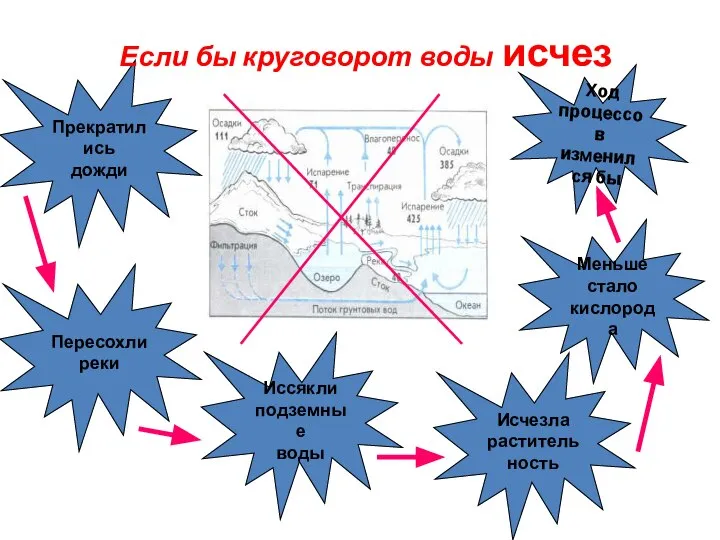 Ход процессов изменился бы Меньше стало кислорода Исчезла растительность Иссякли подземные