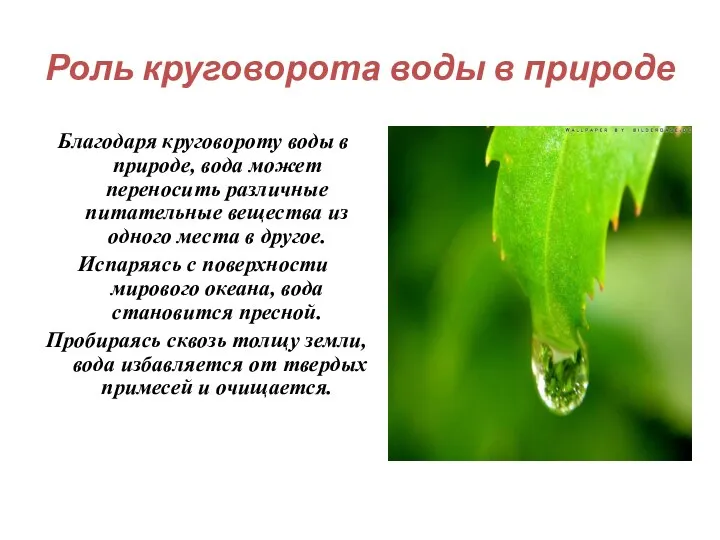 Роль круговорота воды в природе Благодаря круговороту воды в природе, вода