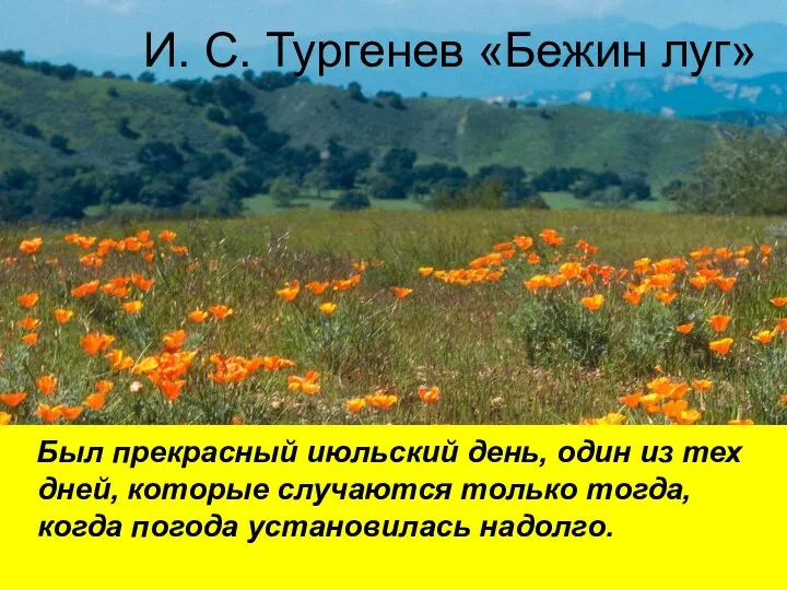 И. С. Тургенев «Бежин луг» Был прекрасный июльский день, один из