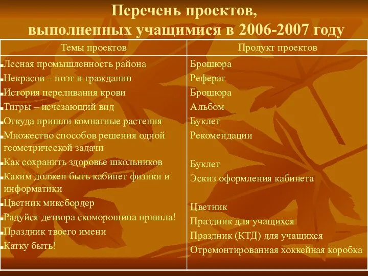 Перечень проектов, выполненных учащимися в 2006-2007 году