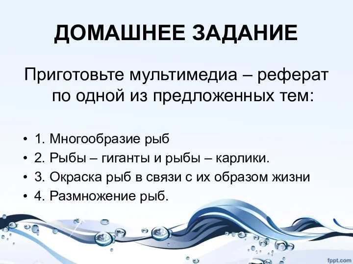 ДОМАШНЕЕ ЗАДАНИЕ Приготовьте мультимедиа – реферат по одной из предложенных тем: