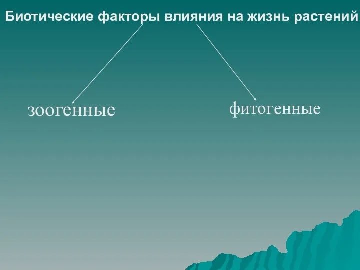 Биотические факторы влияния на жизнь растений зоогенные фитогенные