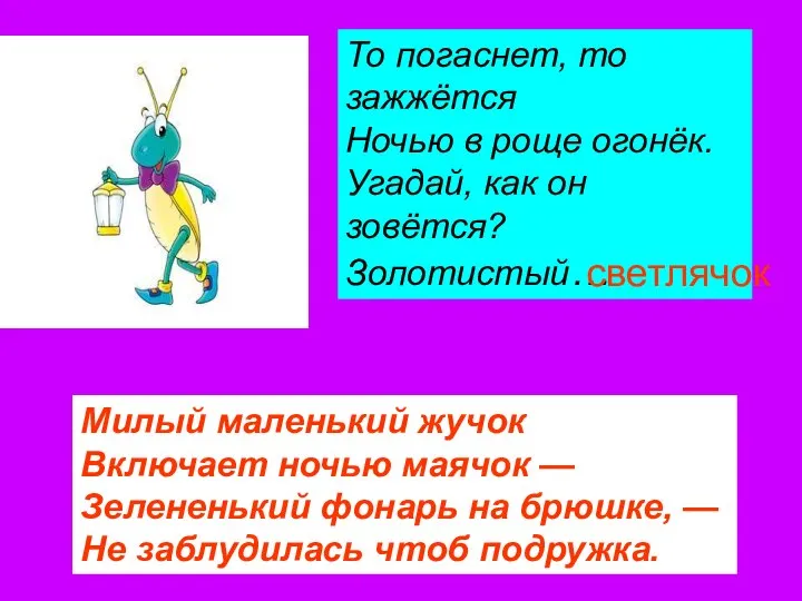 Милый маленький жучок Включает ночью маячок — Зелененький фонарь на брюшке,