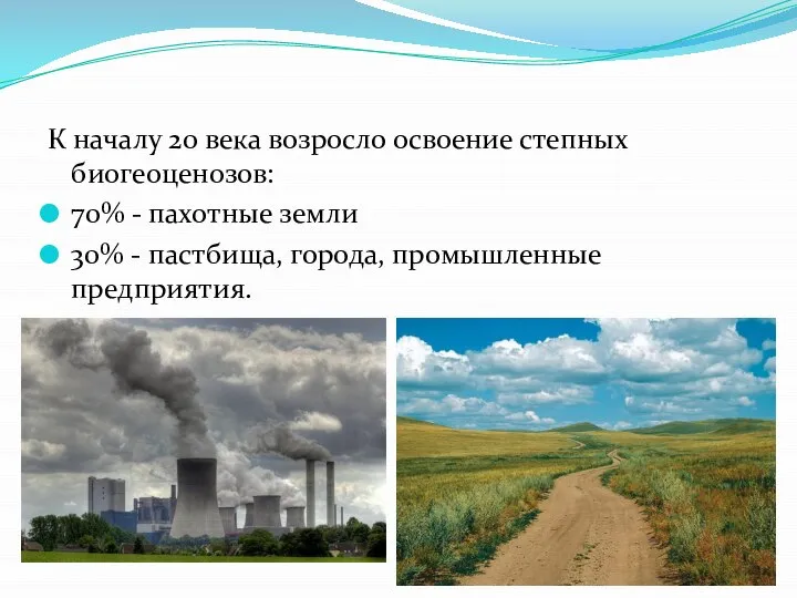 К началу 20 века возросло освоение степных биогеоценозов: 70% - пахотные