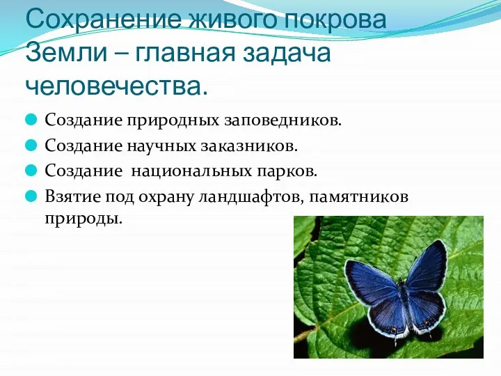 Сохранение живого покрова Земли – главная задача человечества. Создание природных заповедников.