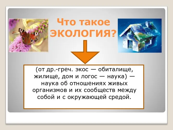 Что такое ЭКОЛОГИЯ? (от др.-греч. экос — обиталище, жилище, дом и