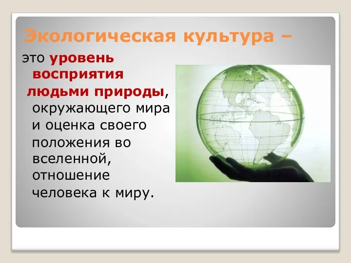 Экологическая культура – это уровень восприятия людьми природы, окружающего мира и