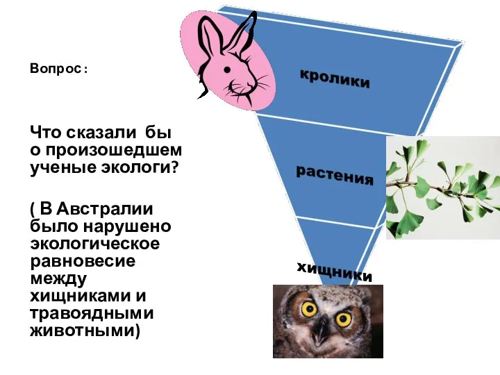 Вопрос : Что сказали бы о произошедшем ученые экологи? ( В