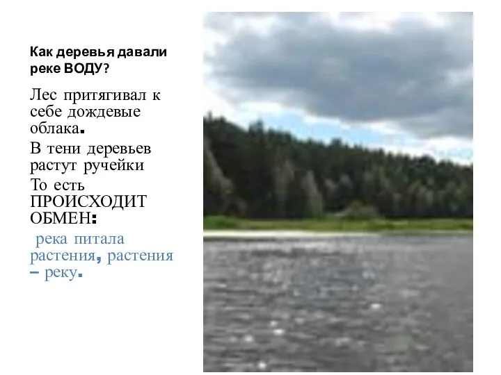 Как деревья давали реке ВОДУ? Лес притягивал к себе дождевые облака.