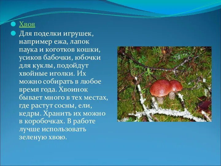 Хвоя Для поделки игрушек, например ежа, лапок паука и коготков кошки,