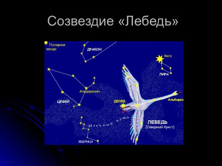 Созвездие «Лебедь»