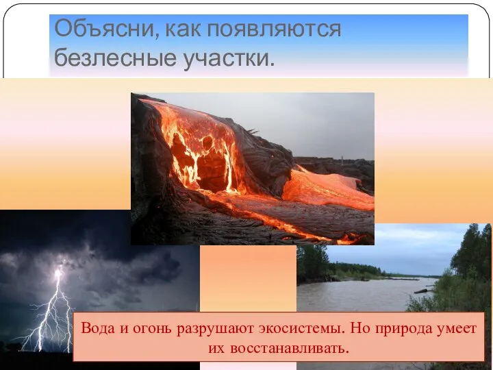 Объясни, как появляются безлесные участки. Вода и огонь разрушают экосистемы. Но природа умеет их восстанавливать.