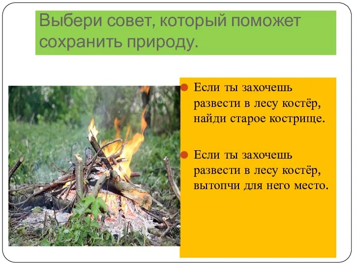 Выбери совет, который поможет сохранить природу. Если ты захочешь развести в