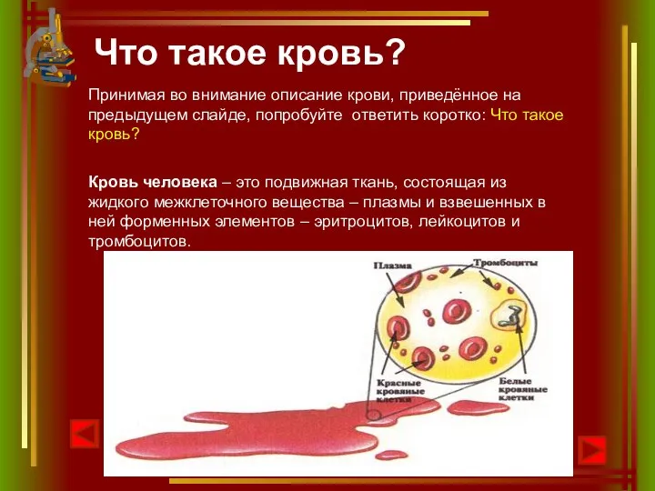 Что такое кровь? Принимая во внимание описание крови, приведённое на предыдущем