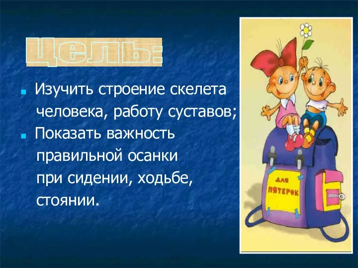 Изучить строение скелета человека, работу суставов; Показать важность правильной осанки при сидении, ходьбе, стоянии. Цель: