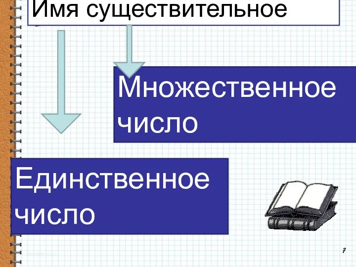 7 Единственное число Множественное число Имя существительное