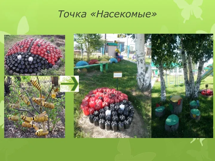 Точка «Насекомые»